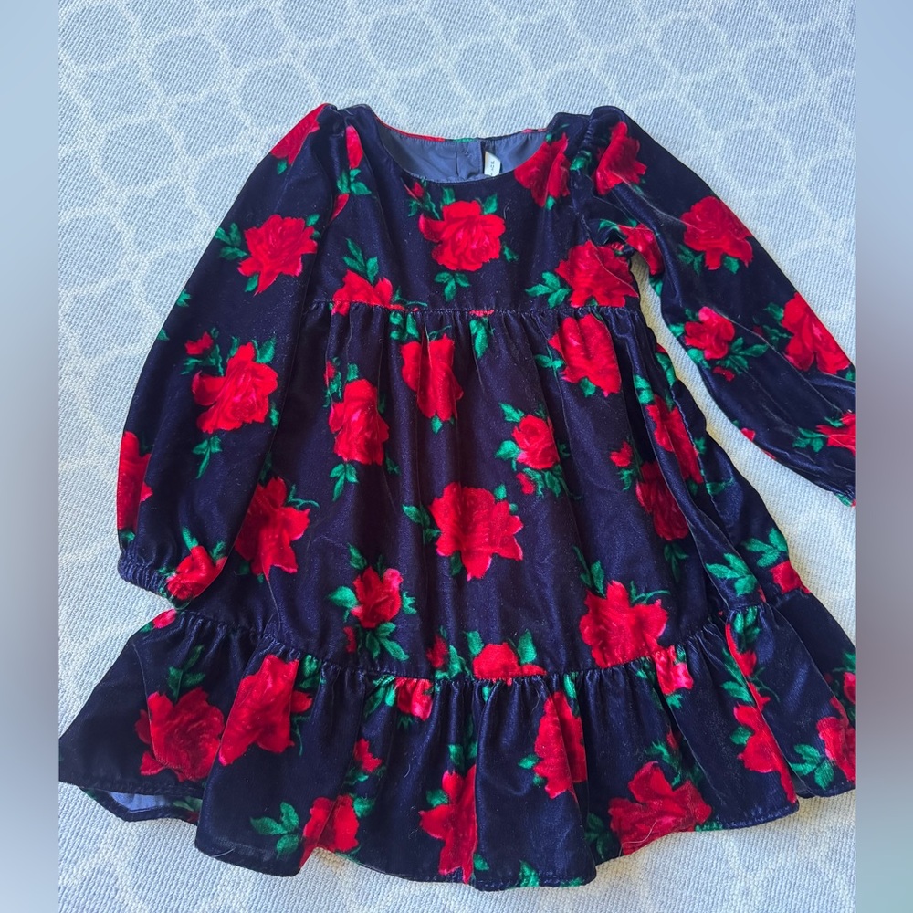 Janie & Jack Velvet Rose Dress